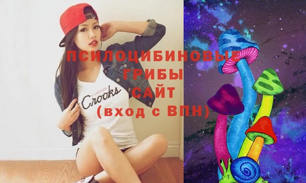 гидропоника Балахна