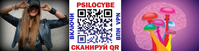 Купить где Духовщина Псилоцибиновые грибы Magic Shrooms